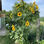 Apartament Stupa-rezi-tatika-haz *