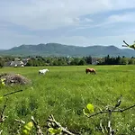 Stupa-rezi-tatika-haz Apartament *