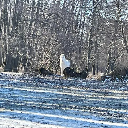 Stupa-rezi-tatika-haz Zalaszántó