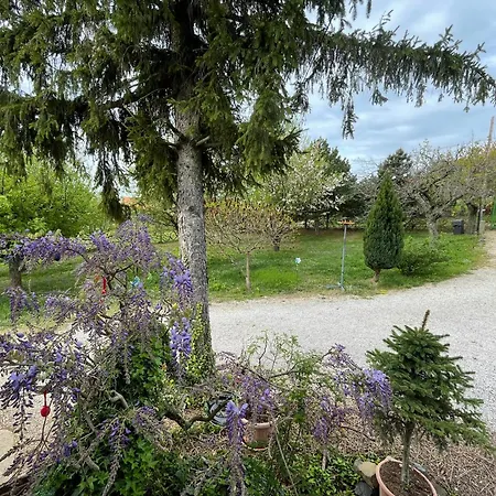 Apartman Stupa-rezi-tatika-haz Zalaszántó