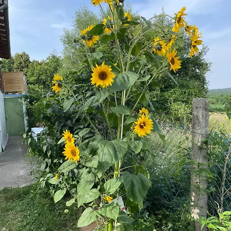 Apartman Stupa-rezi-tatika-haz *