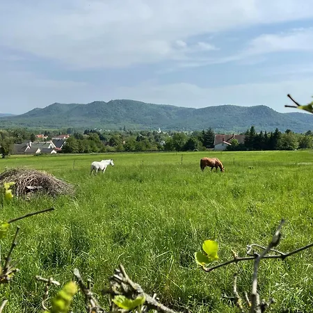 Stupa-rezi-tatika-haz Apartman *