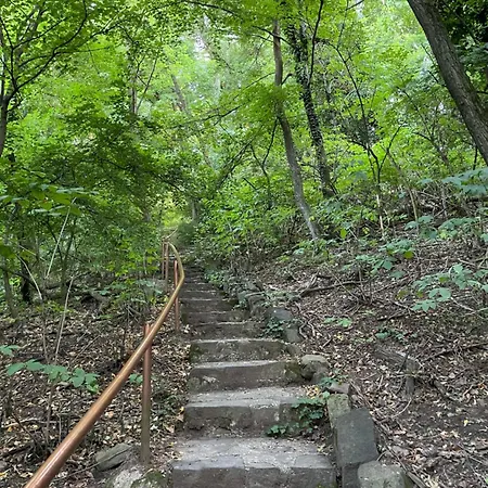 Stupa-rezi-tatika-haz Apartman