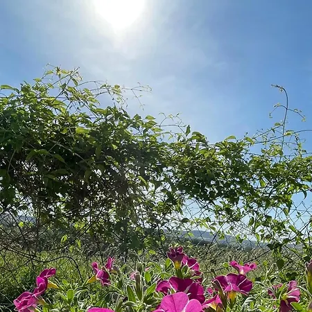Apartament Stupa-rezi-tatika-haz